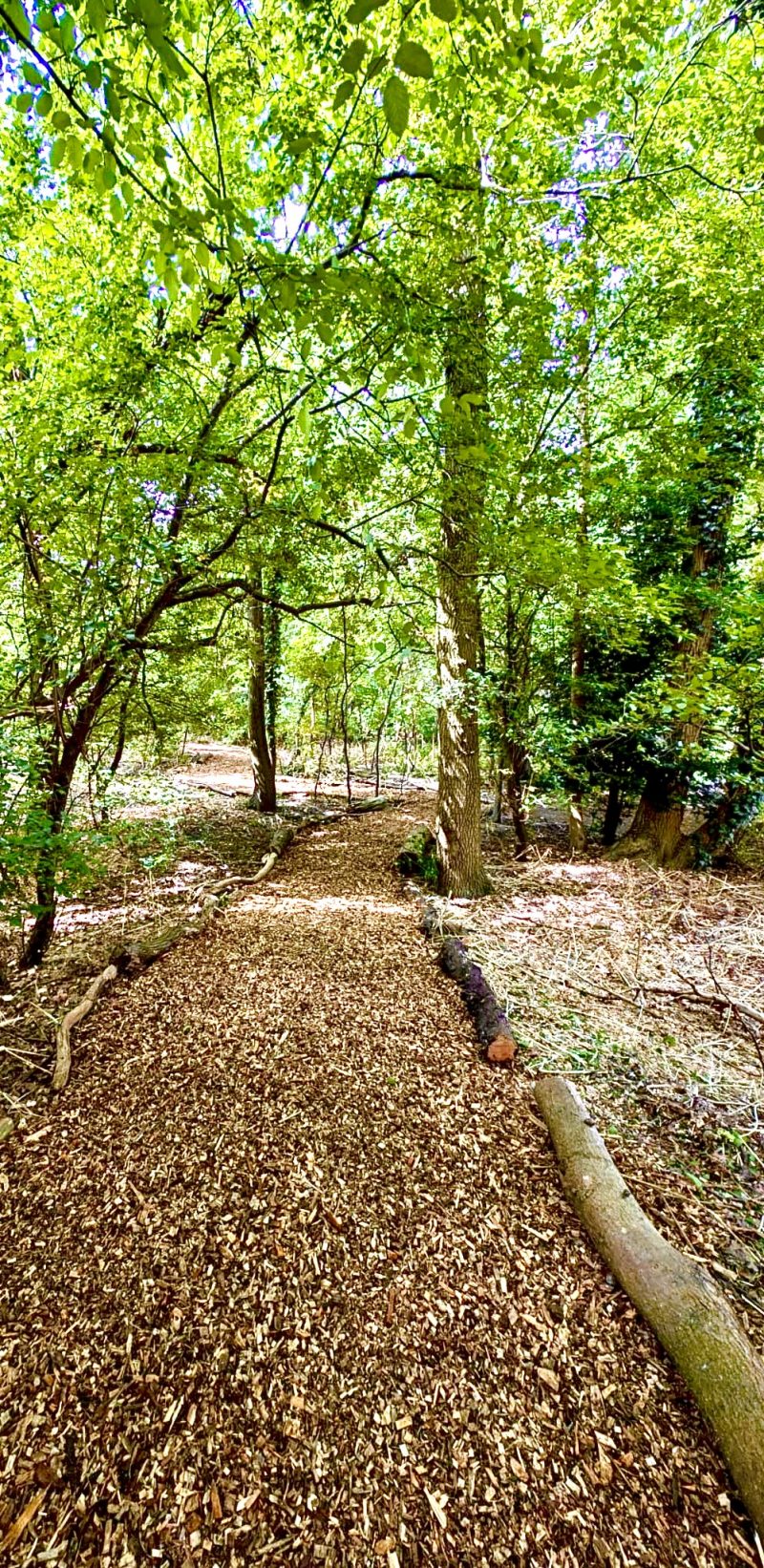 Bark Woodchip - Image 8