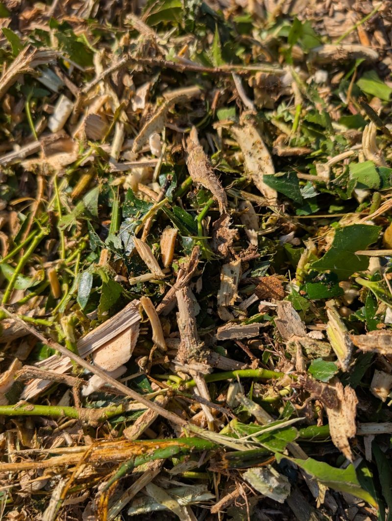 Garden Mulch - Image 7