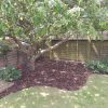 Garden Mulch - Image 9